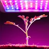 Plant Growth Lighting Newzealand Hot Selling full spectrum 120*120mm led cob pcb module with 3535 SMD Factory Price 50000 Hours