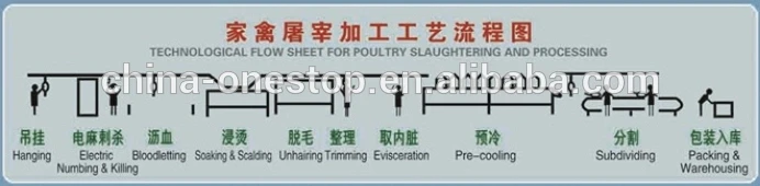 Chicken processing plant equipment Chicken slaughterhouse equipment