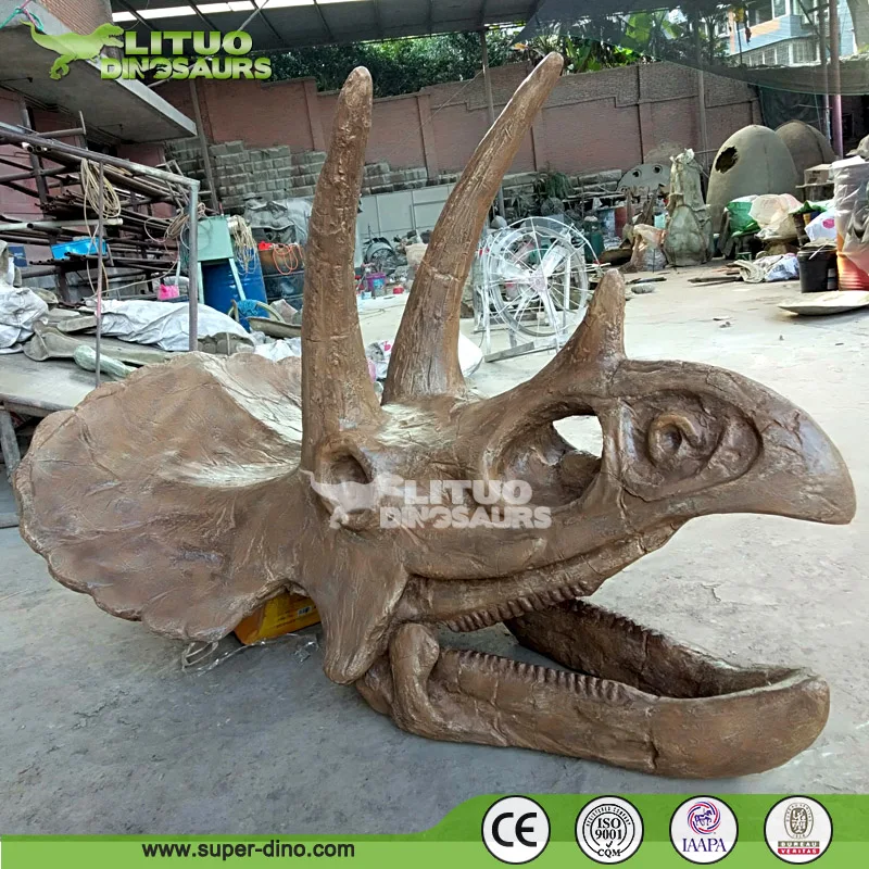 11 Life Size Dinosaur Triceratops Replica Skulls Buy Replica Skulls dinosaur Replica Skulls