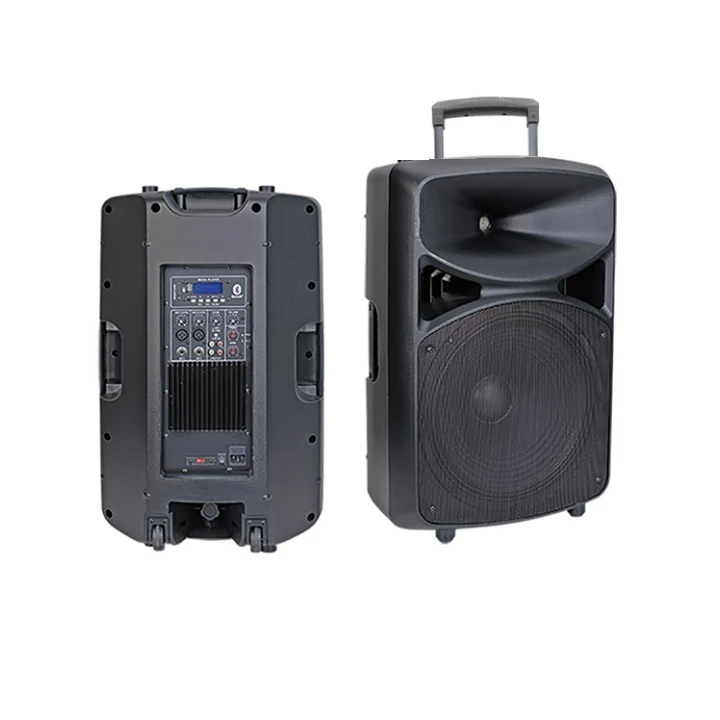 Professional Portable Outdoor Stage Bluetooth Active 10 12 15 Inch