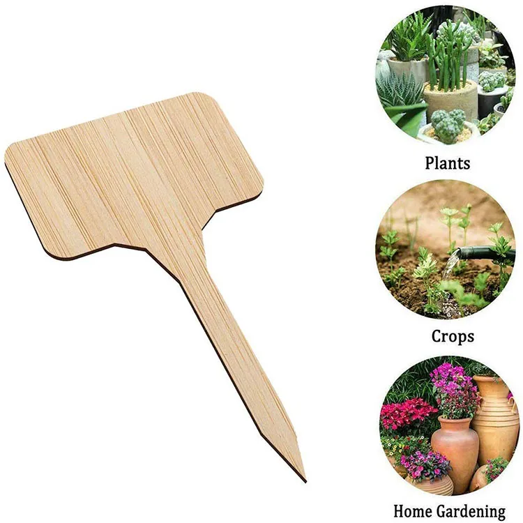 Sntieecr 80 Pieces Bamboo Garden Plant Labels Vegetable Herbs Gardening Markers T-Type Plant Tags Sign Tags with Box for Plants 