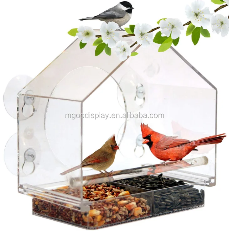 bird cage5