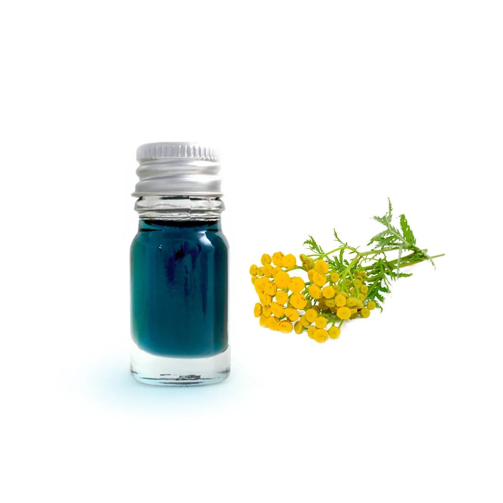 Wholesale Price Tanacetum Annuum Oil - Pure Blue Tansy
