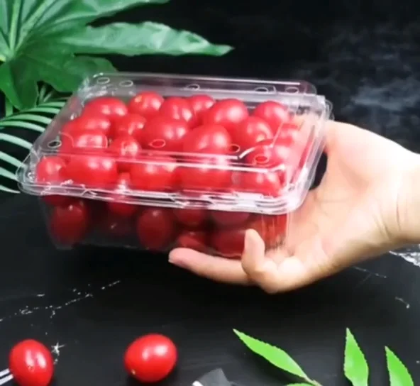 Disposable Clear Plastic Fruit Packaging Box Package Containers Rpet