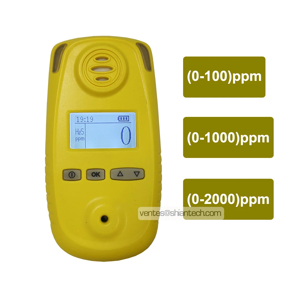 Portable H2s Analyzer Hydrogen Sulfide Detector For Biogas,02000ppm
