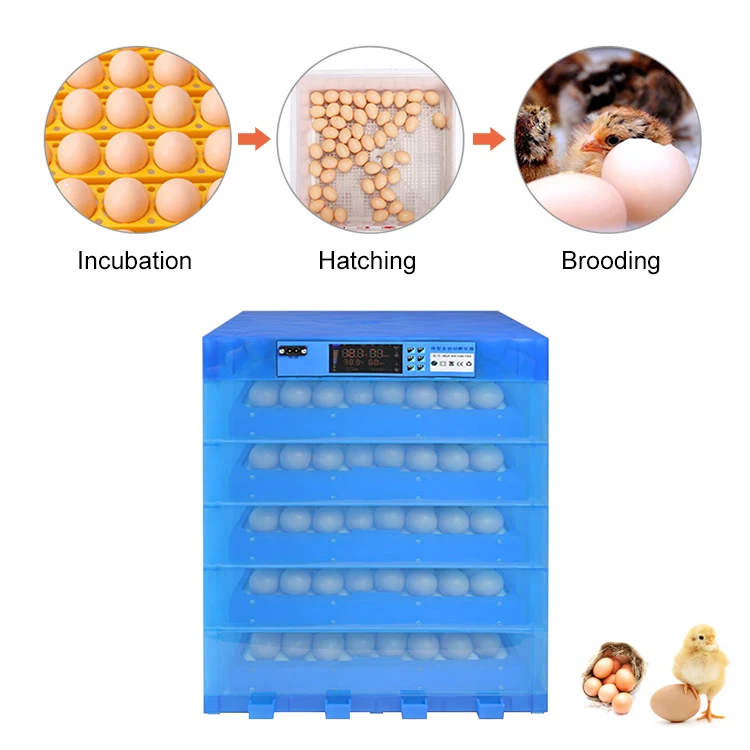 320 egg incubator-10.jpg