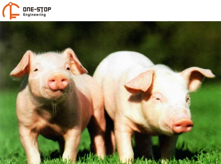 mobile_swine_meat_processing_plant_with_pig_abattoir_machinery