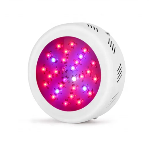 2020 New arrivals 300W UFO LED Grow Light Red and Blue Spectrum cob Grow Lamp for Indoor & Greenhouse Plants