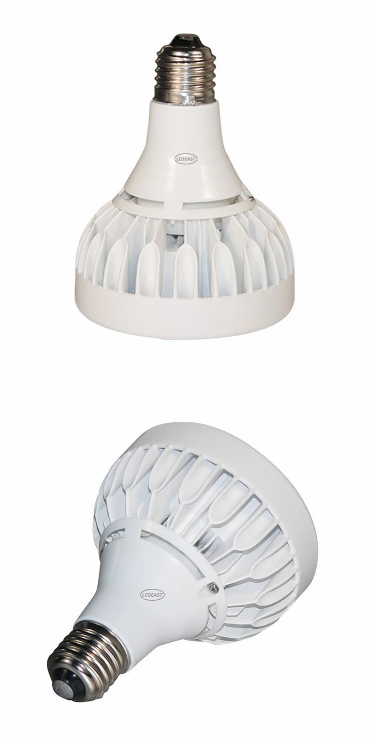 33W XP30N-33 PAR30 (3)