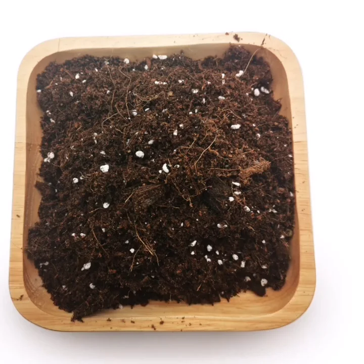 garden plant fertilizer of potting soil vegetable&fruits