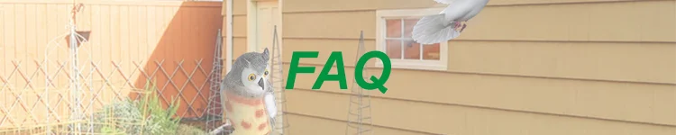 7 FAQ.png
