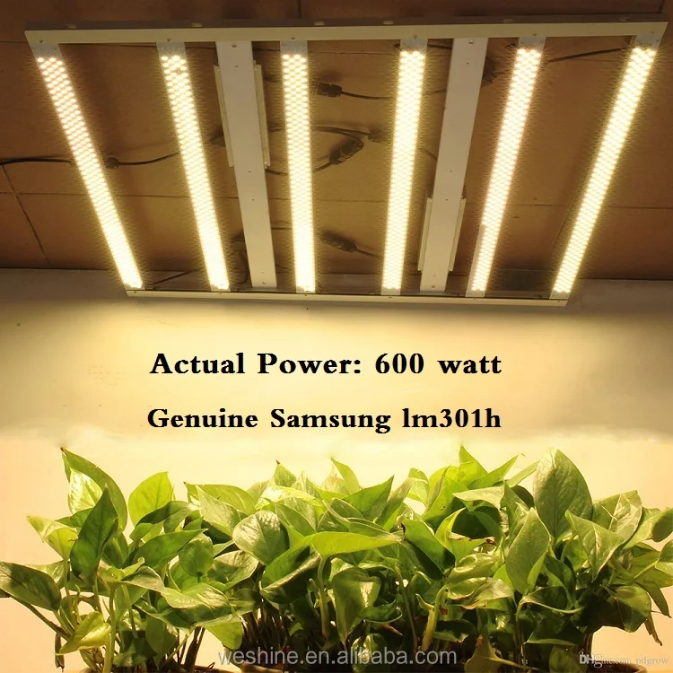 影响led植物酒吧lm301b Lm301h 600w量子led生长灯v3 V4 Spydr商业成长led灯 Buy Led植物酒吧lm301b 影响 Led Spydr Led生长灯product On Alibaba Com