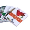OEM design CMYK 4 coloring print health cookbook Religious soft cover books printing