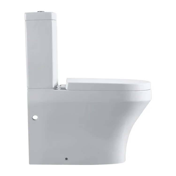 Best quality two piece S-trap  P-trap hospital dual flush washdown toilet
