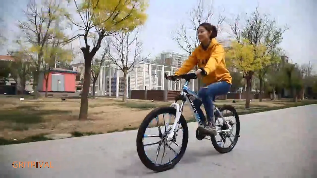Fat Tire Sport Downhill Mountain Bike 