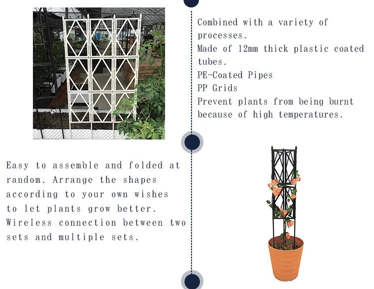 Rose Trellis (5).jpg