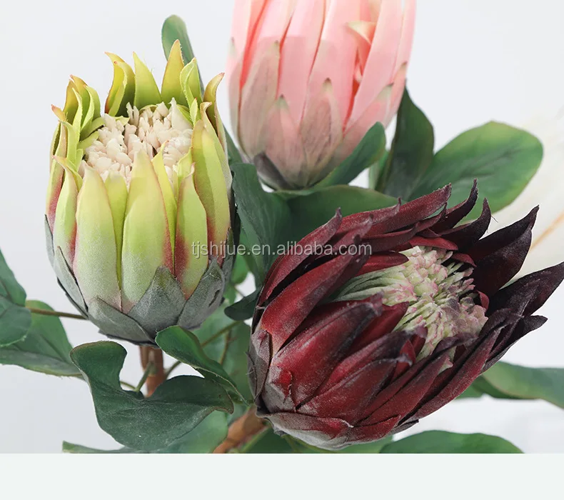 Ifg White King Protea Flower Wedding Decoration Artificial Protea