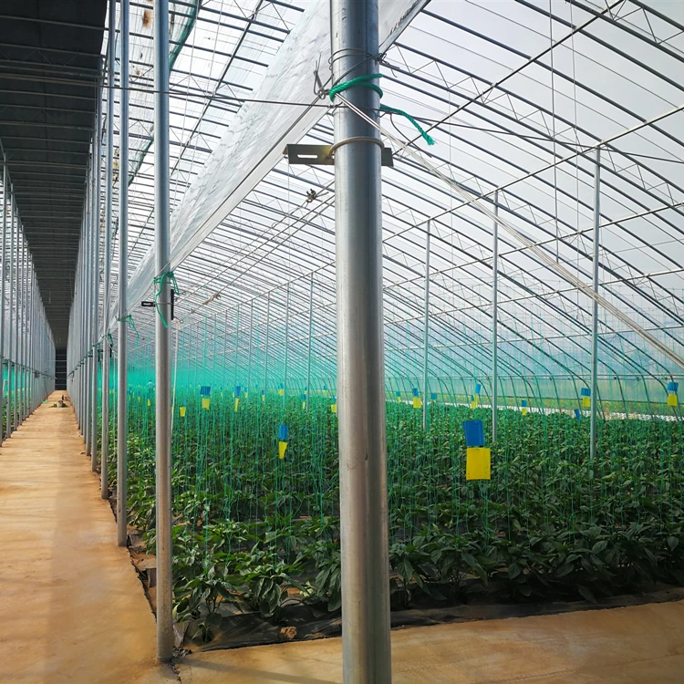 single greenhouse  (20).jpg