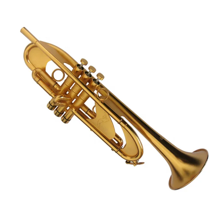 Pesante Tromba Spazzola Oro Superficie Di Importazione In Ottone Campana Strumenti Musicali Buy Pesante Tromba Product On Alibaba Com