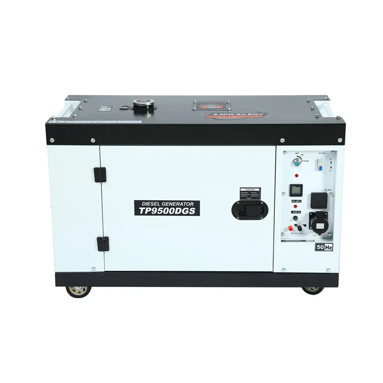 TP6500DGFL generator.jpg