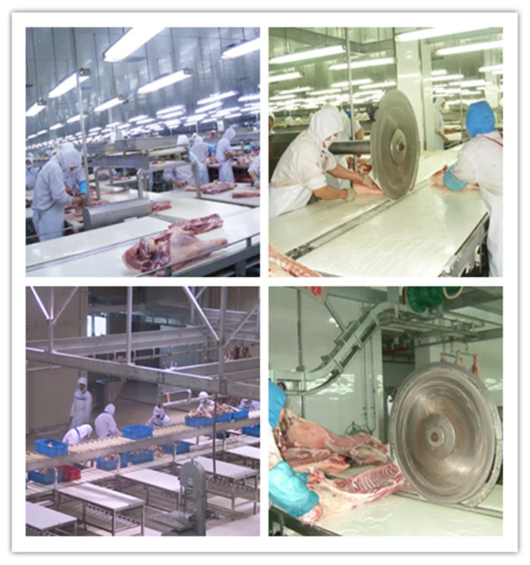 Fully automatic pig slaughtering line in slaughterhouse