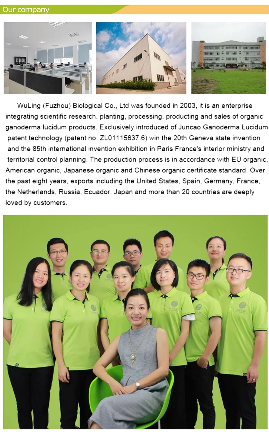 Wuling  company   team.jpg