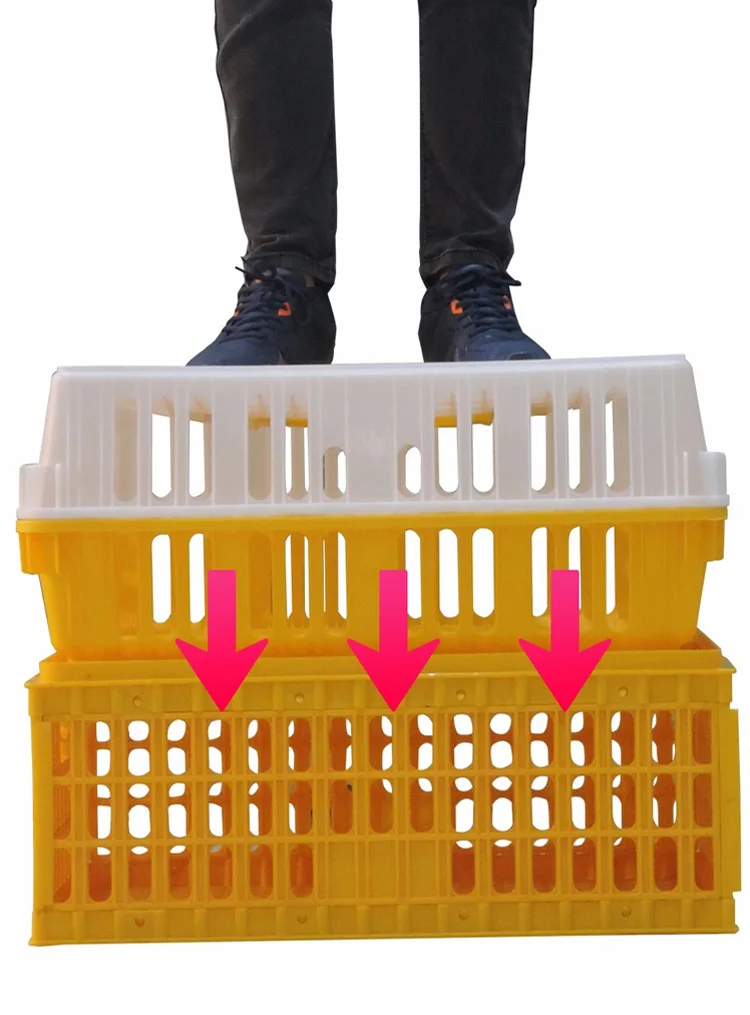 chicken cage (3).jpg