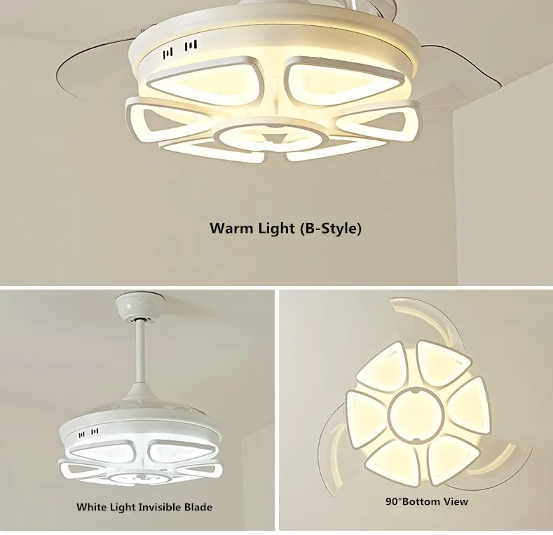 fan light  (2).jpg