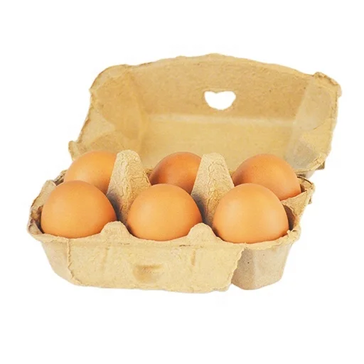 Recycled Paper Egg Cartons Pulp Egg Tray Packaging Wholesale Egg