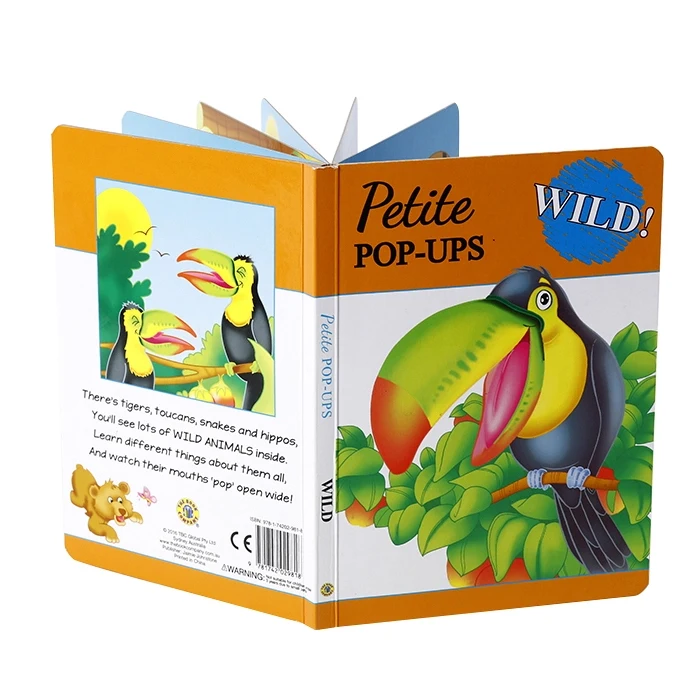 pop-up board book  (13)