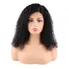 Bliss Afro Kinky Wig 4x4 Closure Kinky Human Hair Wig