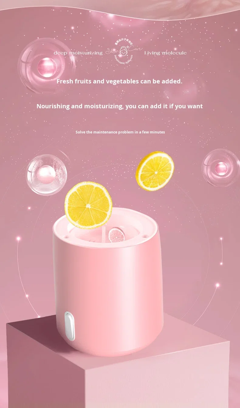 Portable hydrating facial steamer