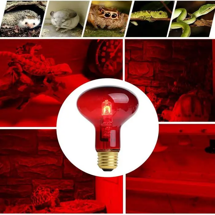 infrared heating lamp (6).jpg