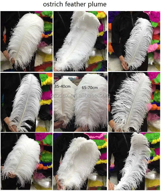 White Ostrich Feather Plume