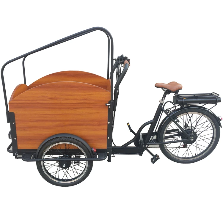 adult tricycle with motor