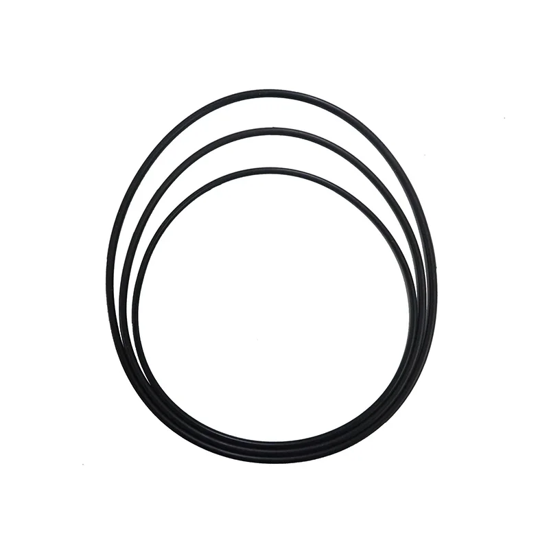 Sunsun Canister Filter Sealing Rubber Ring O Ring For Hw 304 404 704 Aquarium Filter Buy Rubber O Rings Rubber O Ring For Water Pump Aquarium Filter Product On Alibaba Com