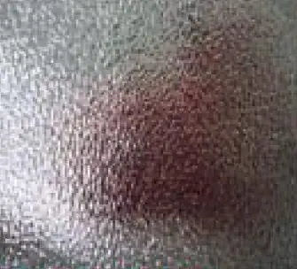 Chinese Manufacturer Indoor Complete Hydroponic Grow Systems For Plant Growth