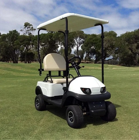 single person golf buggy