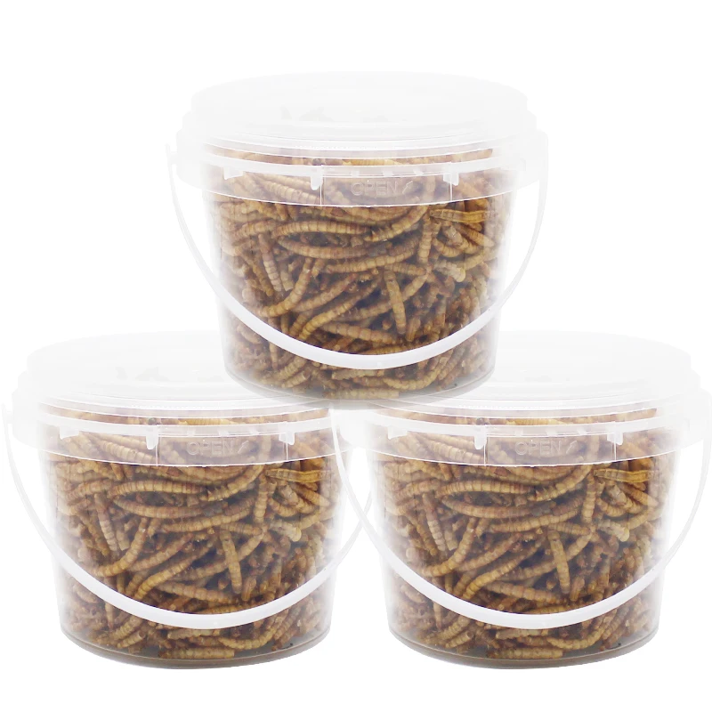 Highprotein Mealworms For Wild Bird,Chicken,Ducks,Fish,Reptile
