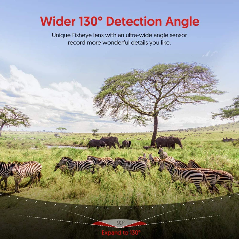 Trailcamera (4).jpg