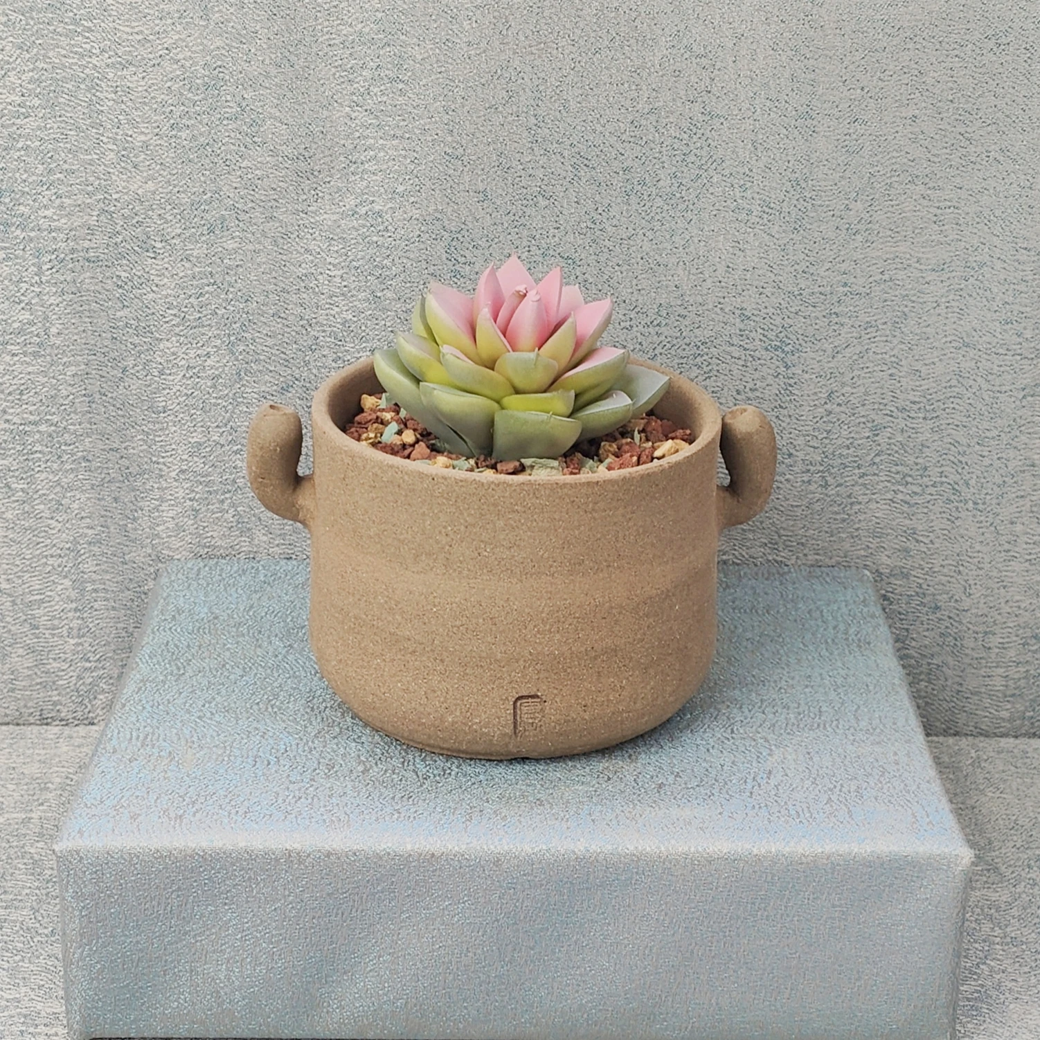 Ceramic Succulent Planter Pot Home Indoor Decorative Small Plant Flower