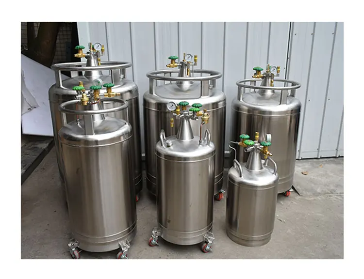 liquid nitrogen container / cryogenic dewar / low price tank/ hot sale IVF