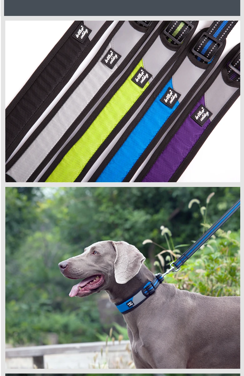 Rubber Dog Collar Nylon Dog Collar Buy Remote Dog Training Collar Dog