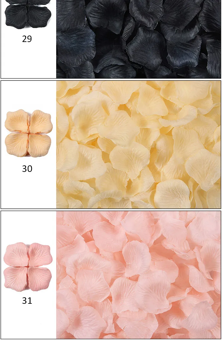Petal20.jpg