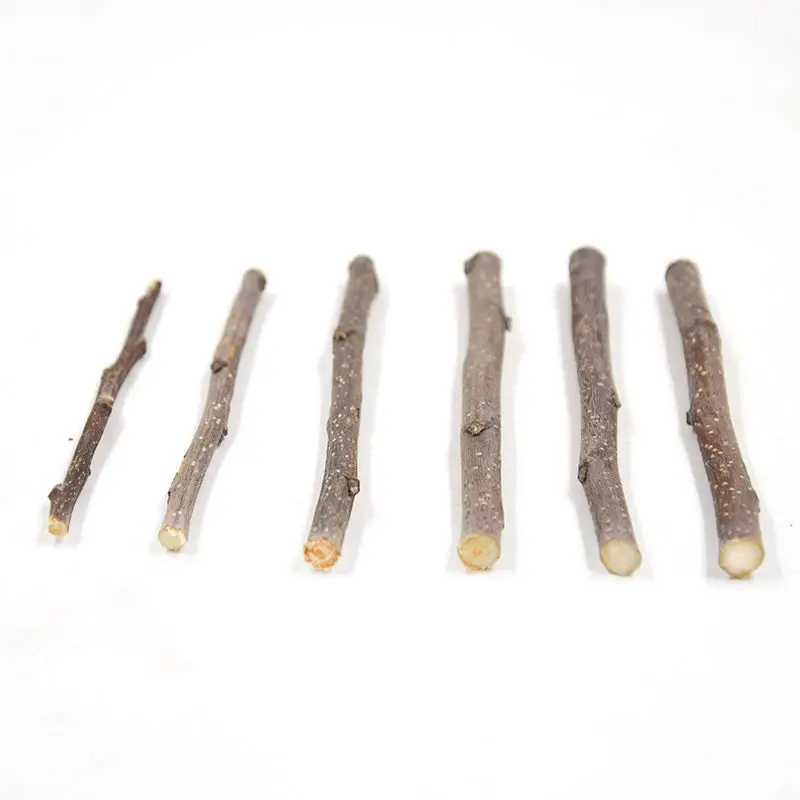 Small Pet Molar Fruit Tree Branchhamsters,Chinchillas,Rabbits,Etc. Gnaw