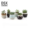 DSX Ceramic 2.5 Inch Flowing Glaze Succulent Planters Cactus Flower Plant Pot/container Mini Ceramic Succulent Pot