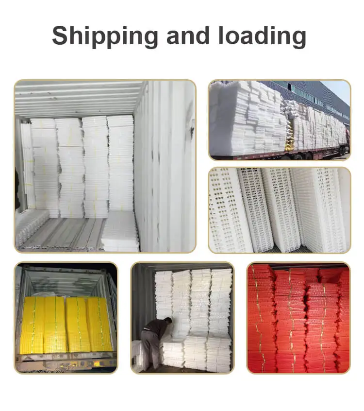 Poultry pack and transport.jpg