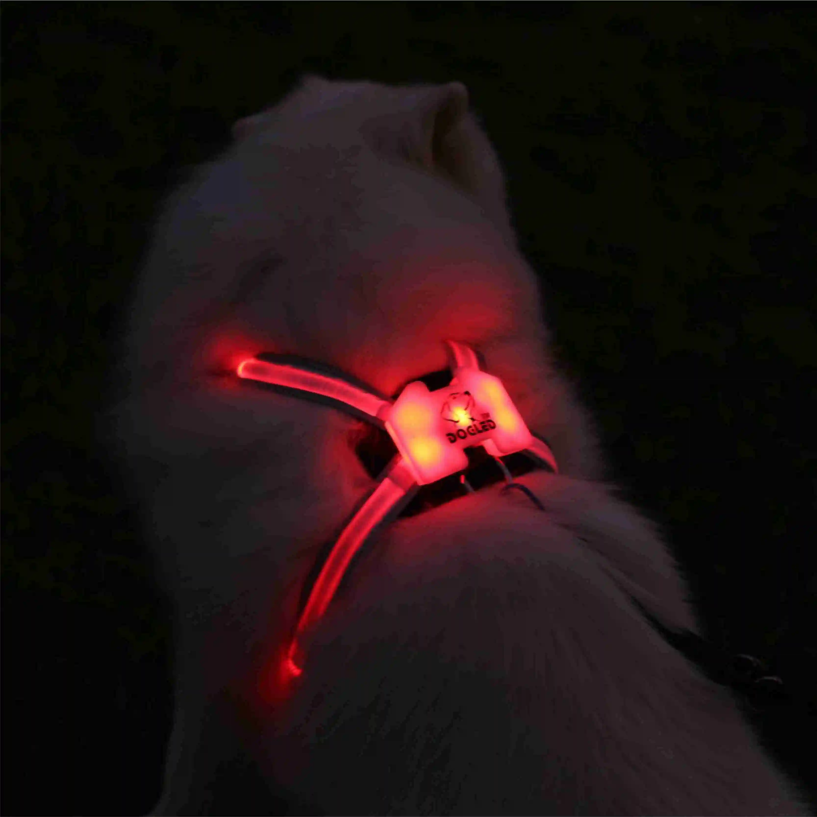 Led Dog Collar Harness Reflective Custom Breathable Chest Strap Dog Pet