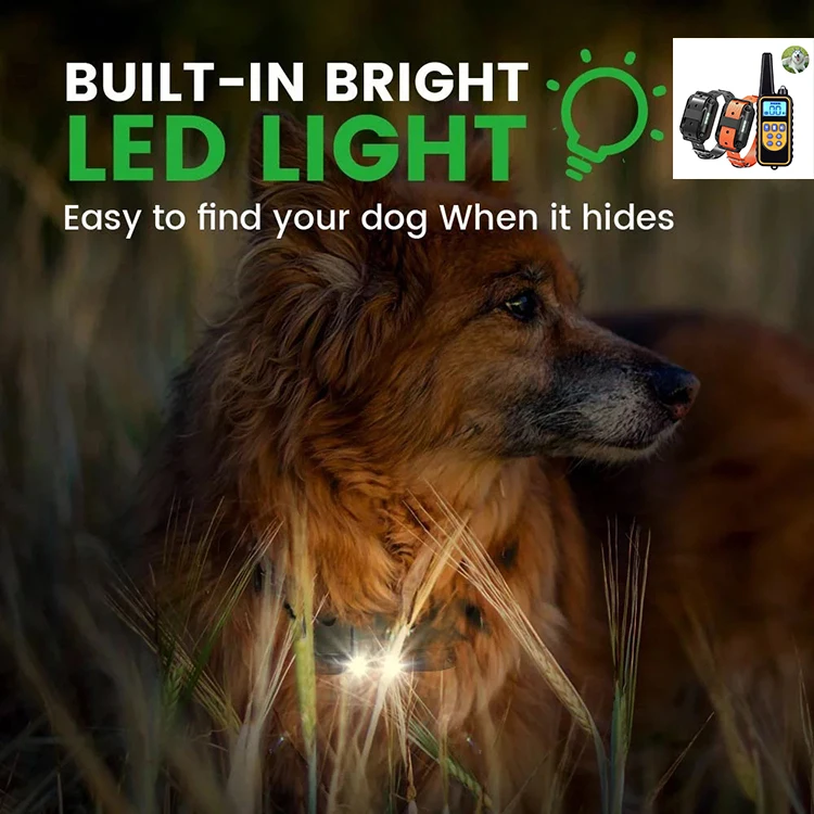 Dog Training Collar.jpg