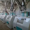 Turkey project corn flour corn grits milling machine maize grinding mill home grain mills